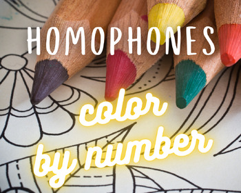 Preview of Homophones Color by Number