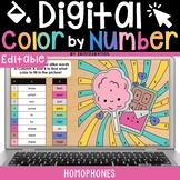 Homophones Color by Number Grammar Review Practice Google 