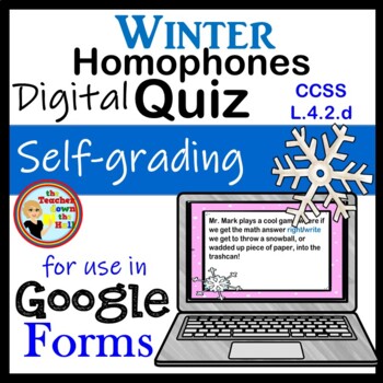 Preview of Homophones Google Forms Quiz Winter Themed