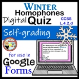Homophones Google Forms Quiz Winter Themed