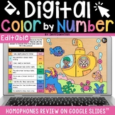 Homophones Grammar Review Color by Number Digital Exit Tic