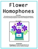 Homophones Packet