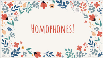 Preview of Homophones Powerpoint