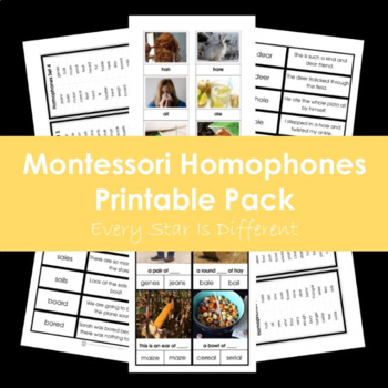 Montessori Homeschool HOMOPHONES Match Card Language Arts Word Study Material
