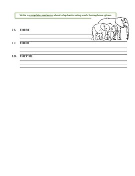 homophones their there theyre worksheet tpt