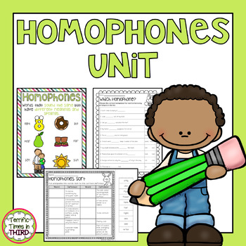 Preview of Homophones Unit - No Prep Worksheets