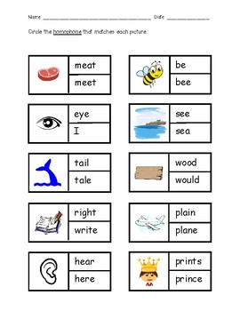 teaching homophones teaching resources teachers pay teachers