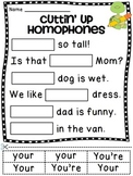 Homophones Worksheets (26 fun homophone activity sheets)