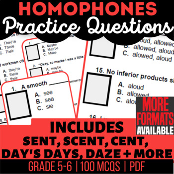Preview of Homophones Worksheets 5th and 6th Grade