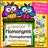 Homophones and Homonyms Games and Worksheets