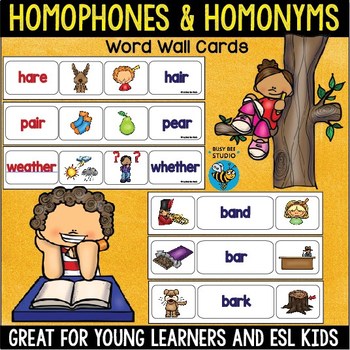 Homophones And Homonyms Word Wall Cards By Busy Bee Studio Tpt