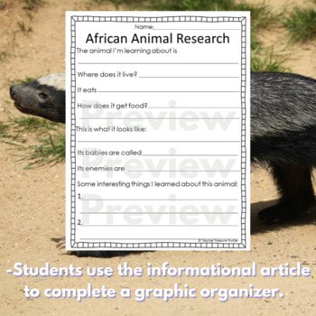 Honey Badgers Are Real, Science