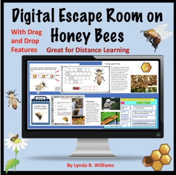 Preview of Honey Bee Digital Escape Room Digital Summer Reading Passages and Comprehension