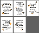 Honey Bee Facts: 5 Posters