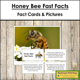 Honey Bee Fast Facts - Montessori Zoology Cards & Pictures