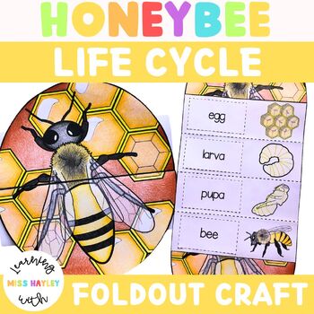 Preview of Honey Bee Foldout Life Cycle Craft