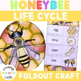 Honey Bee Foldout Life Cycle Craft