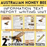 Honey Bee Information Texts, Report Paragraph Writing & Re
