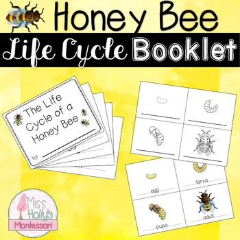 Preview of Honey Bee Life Cycle Booklet Montessori Inspired