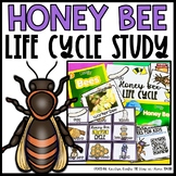 Honey Bee Life Cycle | Centers, Activities and Worksheets 