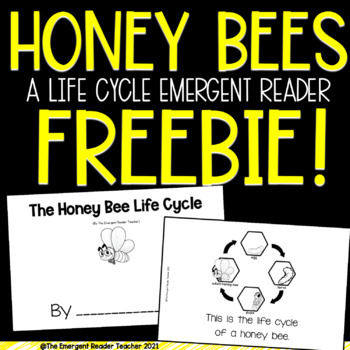 Preview of Honey Bee Life Cycle Emergent Reader FREEBIE