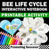 Honey Bee Life Cycle Craft 2nd 3rd Grade Science Interacti