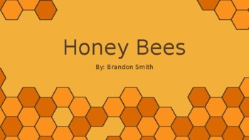 Preview of Honey Bee Unit 1 - Starting Beekeeping