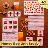 Honey Bee Unit Study, Honey Bee Anatomy, Honey Bee Life Cy