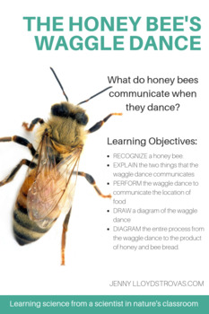 How Bees Communicate