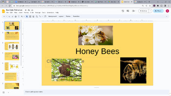 Preview of Honey Bees 