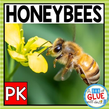 Preview of Honey Bees Science Unit: Bee Life Cycle & Bee Craft | Honeybees for Pre-K