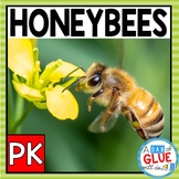 Honey Bees Science Unit: Bee Life Cycle & Bee Craft | Hone