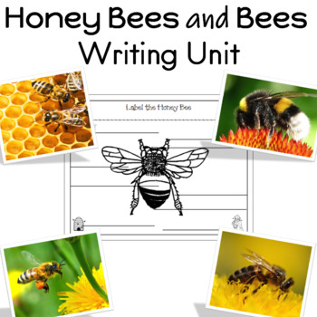 Honey Bees and Bees Writing... by Buzz Worthy Ideas | Teachers Pay Teachers