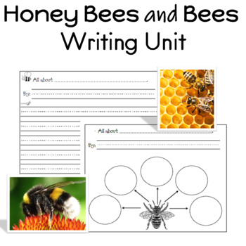 Honey Bees and Bees Writing Unit for Prek to 2nd Grade by Buzz Worthy Ideas