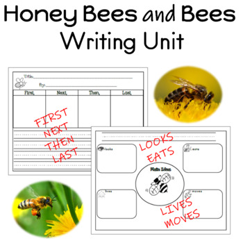 honey bees and bees writing unit for prek to 2nd grade by buzz worthy ideas