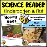Honey Bees Insects Spring Science Reader for Kindergarten & First