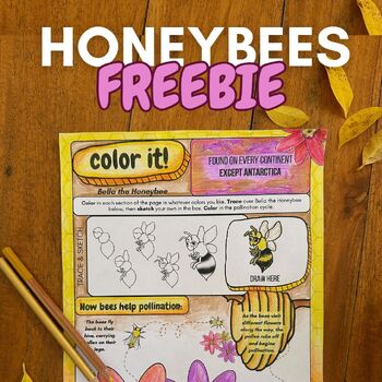 Honeybee Free Coloring Worksheet: Color and Learn About Bees Through Art