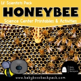 Honeybee Science Activities | Honeybee Science Center Prin