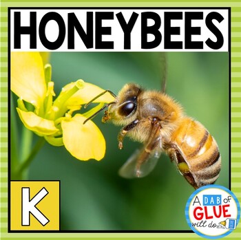 Preview of Honey Bee Science Unit: Bee Life Cycle & Bee Craft | Honeybees Activity Pack