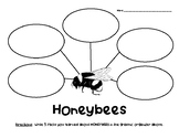 Honeybees Nonfiction Graphic Organizer