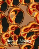 Honors Biology-Teacher Manual, Lesson Plans, Class Notes, 