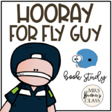 Hooray for Fly Guy! Book Study Activities
