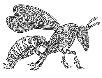 hornet wasp insect zentangle coloring pagepamela