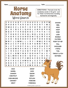 horse anatomy word search puzzle worksheet activity by puzzles to print