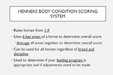 Horse Body Condition Scoring Slides (4H, FFA, Equine/Anima