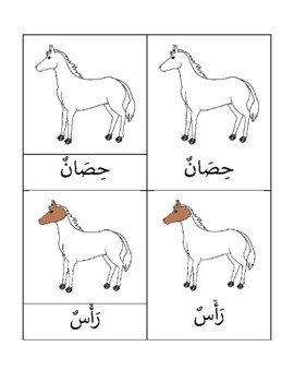 Preview of Horse Body parts 3part cards & coloring booklet (ARABIC)