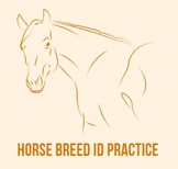 Horse Breed ID Practice