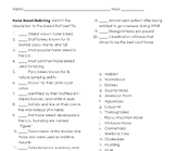 Horse Breed Matching Worksheet (4H, FFA, Animal/Equine Sci