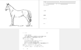 Horse Breed Project