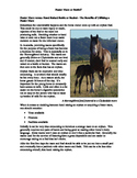 Horse Breeding Package